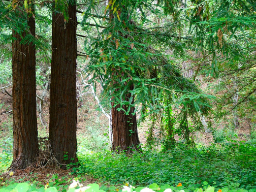 434934 (a): :2400x1800